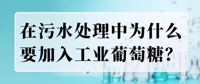 微信图片_20240620183639